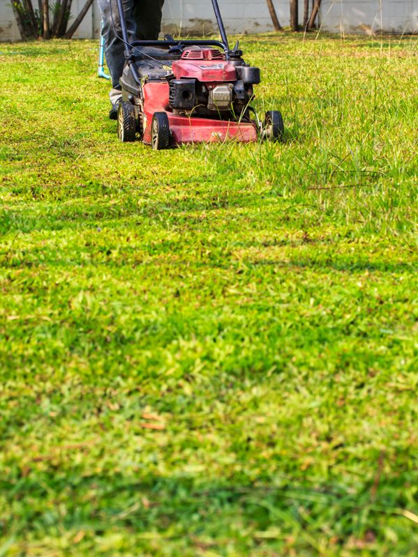 Tonte de pelouse Vers